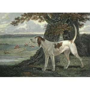  Stag Hound Etching Reinagle, Philip Scott, J Animals, Dogs 