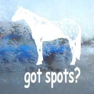  Got Spots? White Decal Appaloosa Horse Laptop Window White 