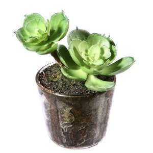   Mini Potted Artificial Succulent Plant In Glass Pot