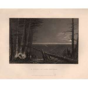  Bartlett 1839 Engraving of a Forest on Lake Ontario