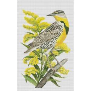  Nebraska State Bird and Flower Counted Cross Stitch Pattern 
