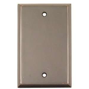   Switch Plate 4 5/8 x 2 7/8 Blank Colonial Style Cast Bronze Swi