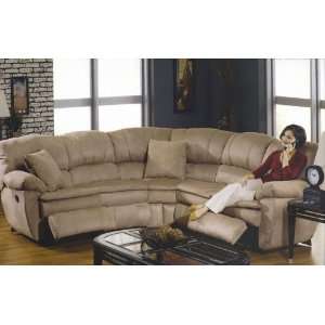    Cameron 2 Piece Sectional Sofa by Catnapper