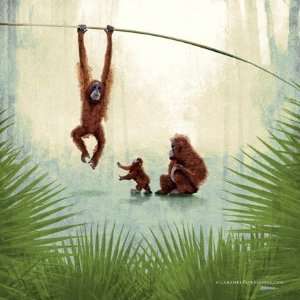    Monkey Jungle Safari Childrens Nursery Print