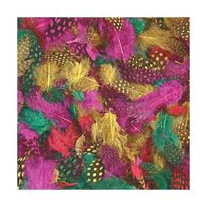  Chenille Kraft Rainbow Guinea Hen Feathers   0.5 oz. Bag 
