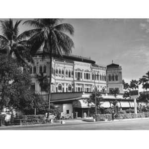  Palm Trees Surrounding the Raffles Hotel Premium 