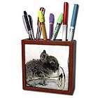 Cassie Peters Rabbits   Lionhead Bunny and Wine Glass   Tile Pen 