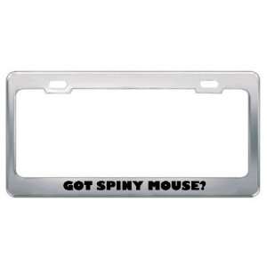 Got Spiny Mouse? Animals Pets Metal License Plate Frame Holder Border 
