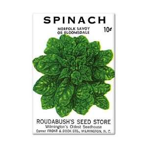  Spinach Seed Packet Artwork Fridge Magnet 