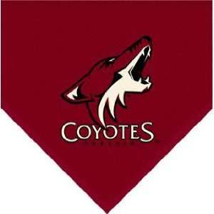 Phoenix Coyotes Team Fleece Blanket 