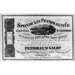  One Share of Stock in the Spondulix Petroleum Co. 1865 