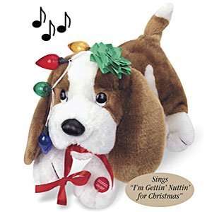  Potpourri Trouble Musical Dog Toys & Games