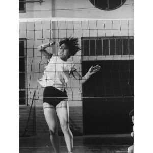  Member of Japans Nichibo Championship Womens Volleyball 