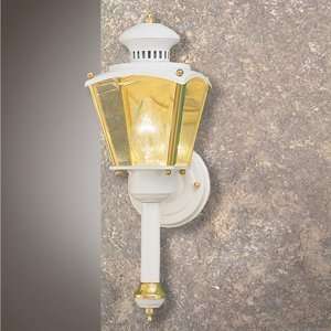  International 7710 30 Solid Brass Outdoor Sconce
