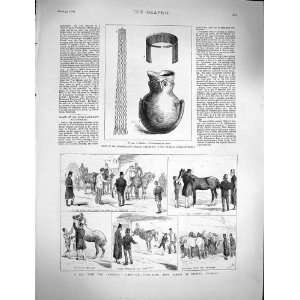  1878 Schliemann Trojan Treasures Army Horses Edgware