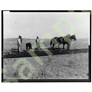  John Christiansen, 1st plowing on his homestead ND 1883 