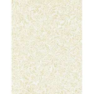   Patton Wallcovering Chronos Swirly Leaves 8992977