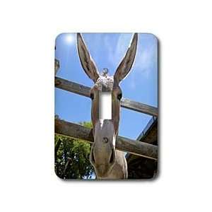 Kike Calvo Animals   Donkey in a farm   Light Switch Covers   single 