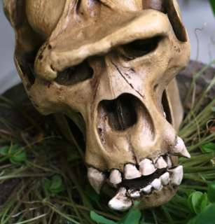chimpanzee skull resin made Taxidermy 10x6.5x 6.5  