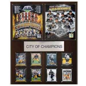  18 x 24 NFL/NHL Pittsburgh City of Champions Plaque 
