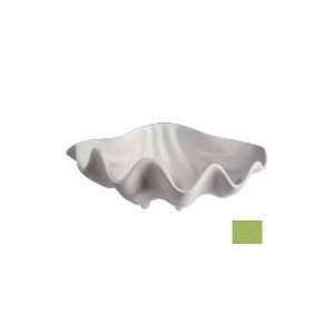  Bugambilia Large Ceviche Shell, Lime   SC004LM