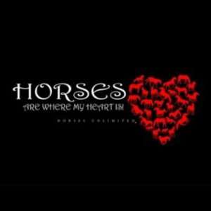  Horses Are Where My Heart Is T Shirt Small