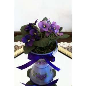  African Violets in Lavender Clay Pot