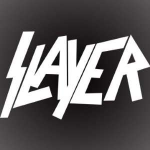  SLAYER DECAL STICKER 6 X 3 Automotive