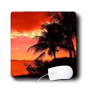    Florene Tropical Sunset   River Runs Red   Mouse Pads Electronics