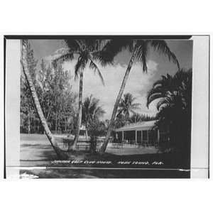   Golf Club House, Hobe Sound, Florida. Terrace, from west 1958 Home