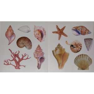  Seashells Nautical Decorative Vinyl Wall Decals