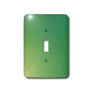 Florene Colorwash   Yellow Into green   Light Switch Covers   single 