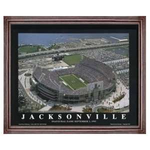   view print of Jacksonville Jaguars Alltell Stadium
