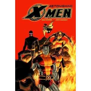    Astonishing X Men, Vol. 3 Torn [Paperback] Joss Whedon Books