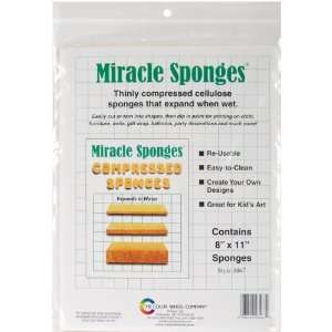 Compressed Sponges 8X11 2/Pkg  