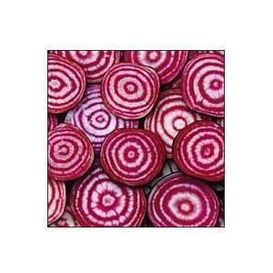  Beet, Chioggia Patio, Lawn & Garden