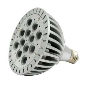  12W LED Dimmable Screw in PAR38 Bulb