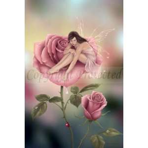  Rose Fairy by Rachel Anderson