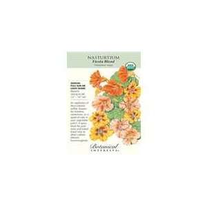  Botanical Interest   Nasturtium Fiesta Blend (Organic 