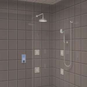   Custom Shower Package with Portrait Interface DTV Envelop   P Home