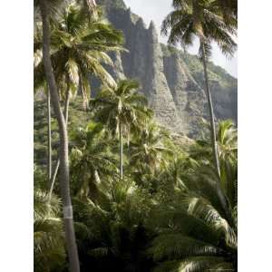 Scenic View of Coconut Palm Trees and Mountains, Anaho Bay, French 