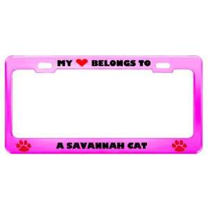  A Savannah Cat Pet Pink Metal License Plate Frame Tag 