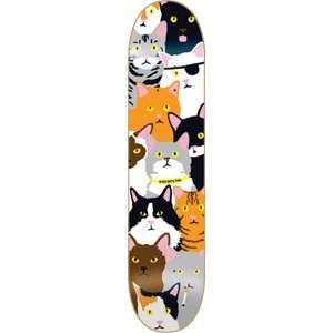  Enjoi Hsu Cat Collage Skateboard Deck   7.6 Resin 7 
