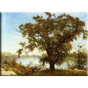 View from Sacramento 30x22 Streched Canvas Art by Bierstadt, Albert