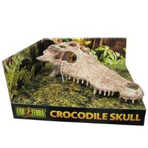  Exo Terra Terrarium Crocodile Skull   Crocodile Skull Pet 