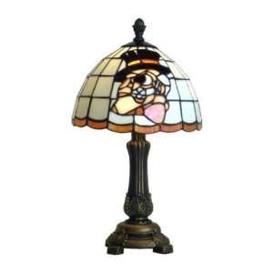 Wake Forest Demon Deacons Tiffany/Stained Glass Accent Lamp  