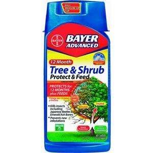  Bayer 701901A Tree and Shrub Protect and Feed Concentrate 