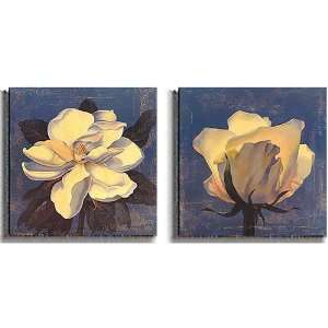  Magnolia and White Rose Canvas Art Set by Curtis Parker 