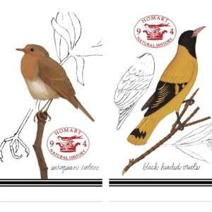    HomArt Large Decorative Robin/Oriole Birds Matches