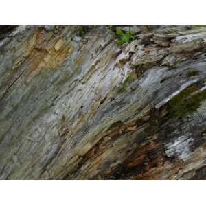 Close Up of a Multicolored Rock on a Mountain Range in France 